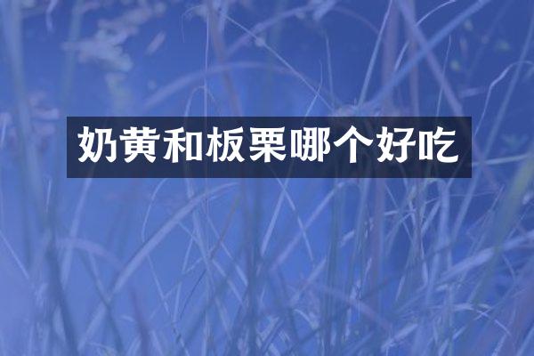 奶黄和板栗哪个好吃