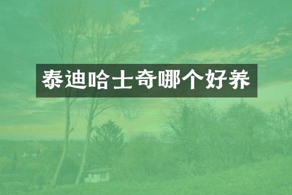 泰迪哈士奇哪个好养