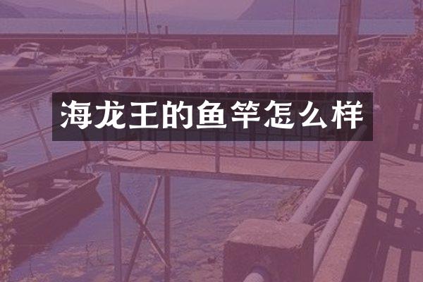 海龙王的鱼竿怎么样