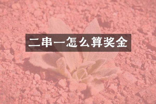 二串一怎么算奖金