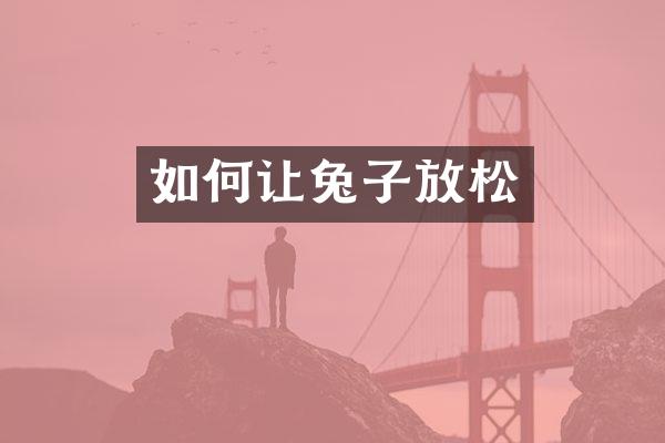 如何让兔子放松