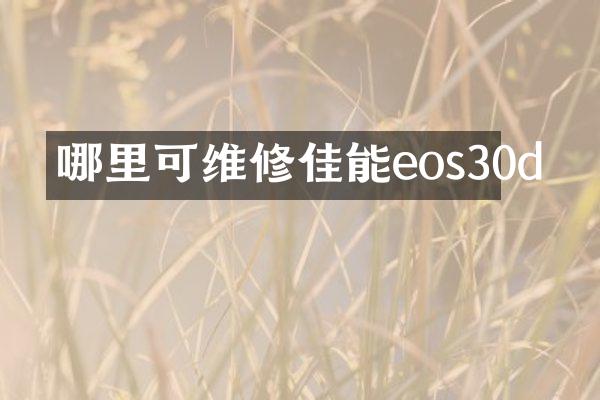 哪里可维修佳能eos30d