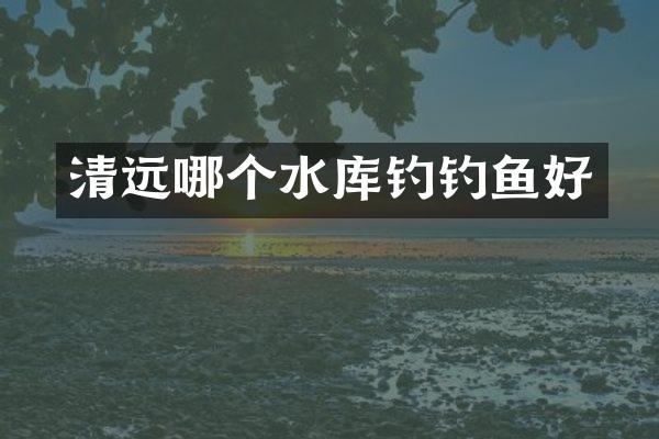 清远哪个水库钓钓鱼好