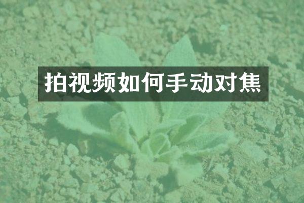 拍视频如何手动对焦