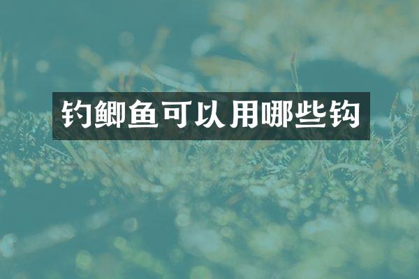 钓鲫鱼可以用哪些钩