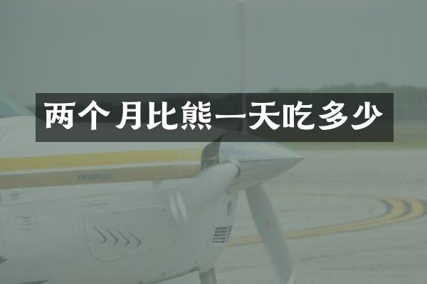 两个月比熊一天吃多少