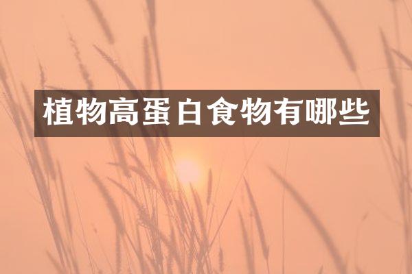 植物高蛋白食物有哪些