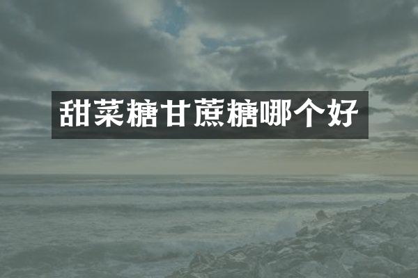 甜菜糖甘蔗糖哪个好