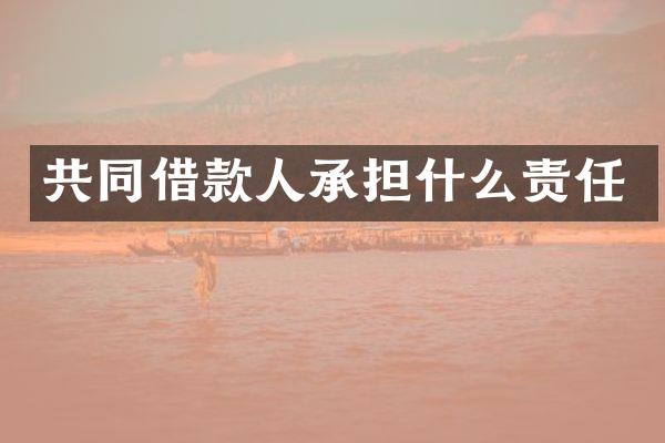 共同借款人承担什么责任