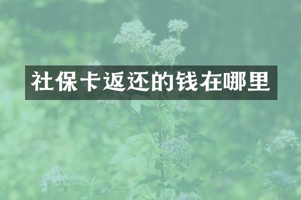 社保卡返还的钱在哪里