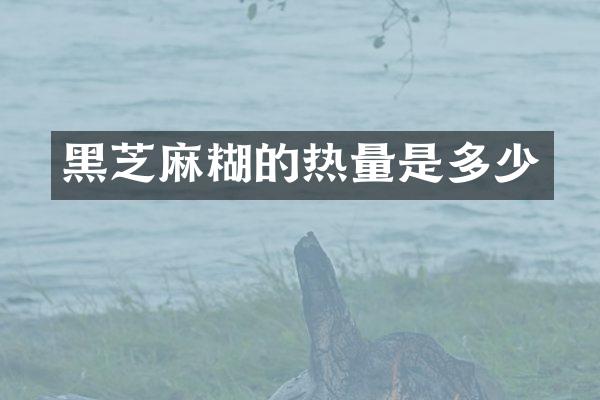 黑芝麻糊的热量是多少