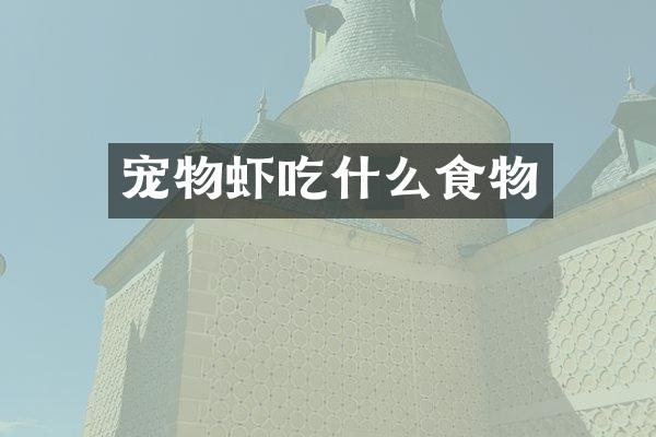 宠物虾吃什么食物