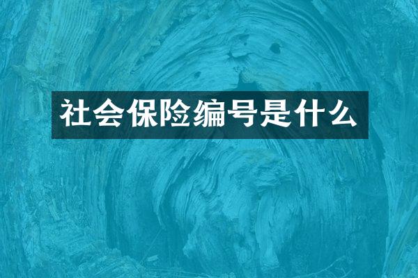 社会保险编号是什么