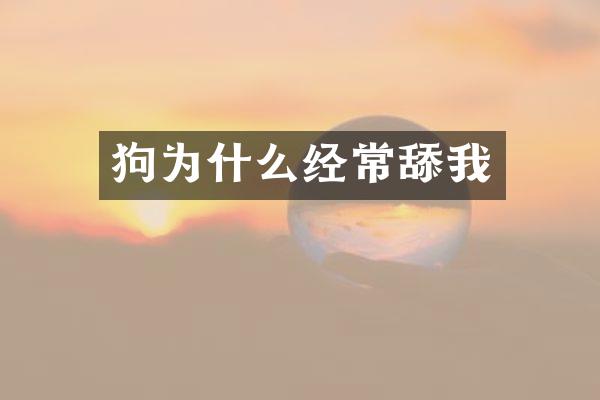 狗为什么经常