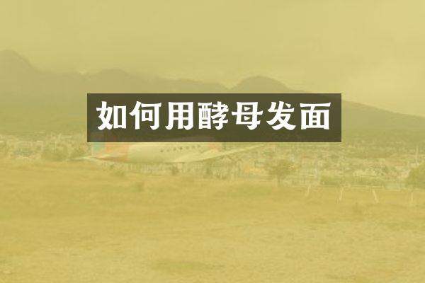 如何用酵母发面