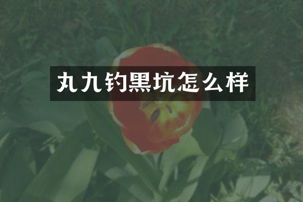 丸九钓黑坑怎么样