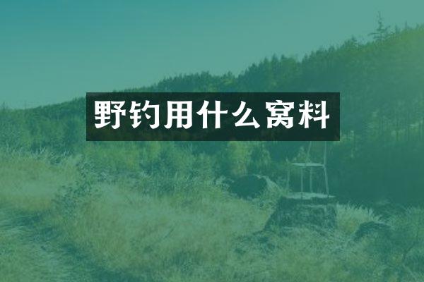 野钓用什么窝料
