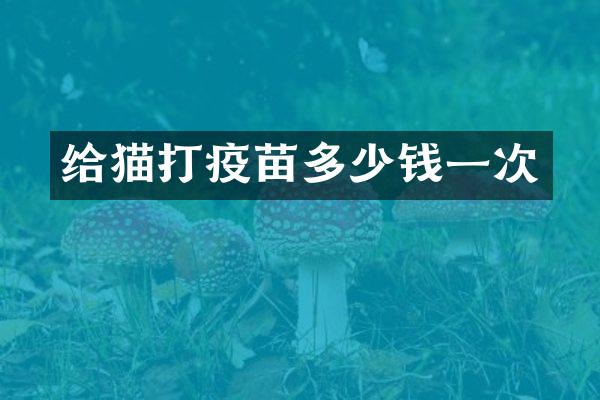 给猫打疫苗多少钱一次