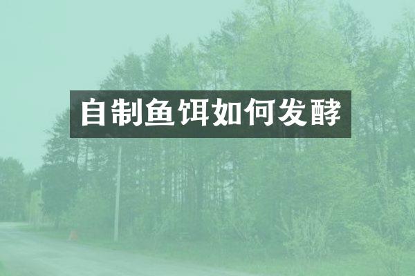 自制鱼饵如何发酵