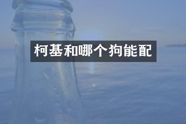 柯基和哪个狗能配