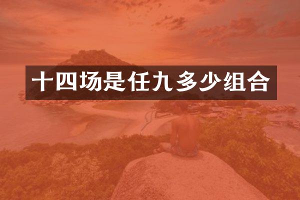 十四场是任九多少组合