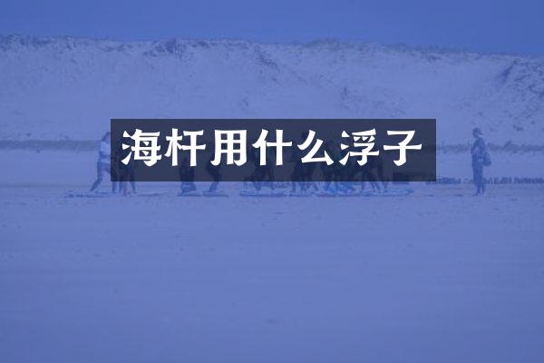 海杆用什么浮子
