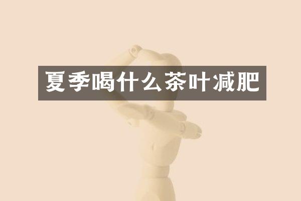 夏季喝什么茶叶减肥