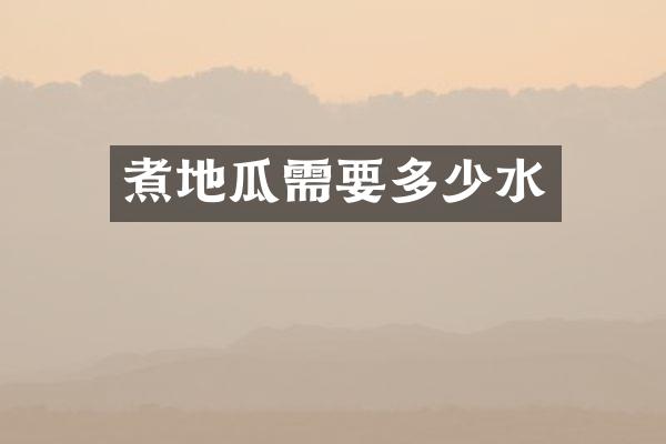 煮地瓜需要多少水