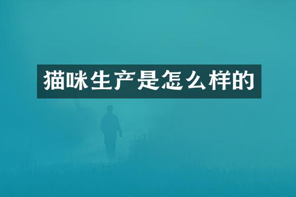 猫咪生产是怎么样的