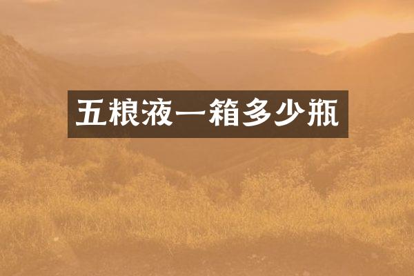 五粮液一箱多少瓶