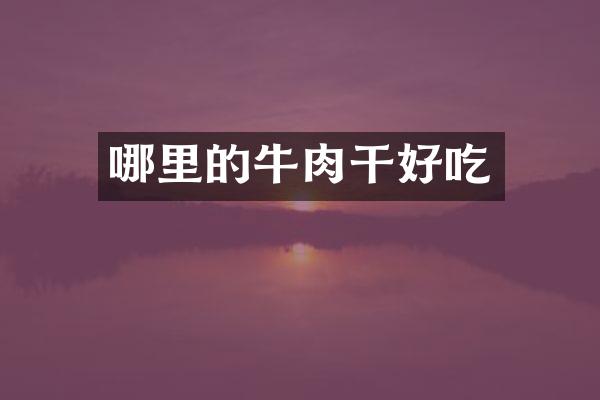 哪里的牛肉干好吃