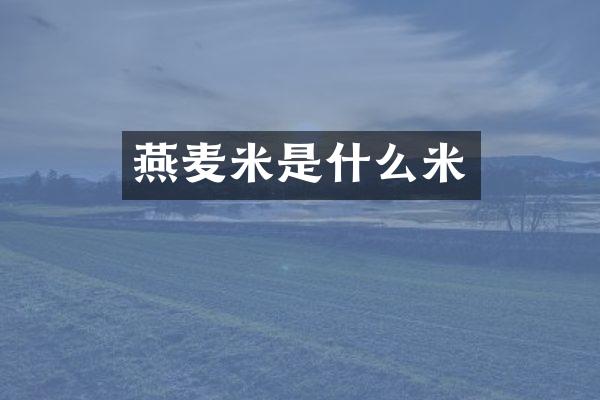 燕麦米是什么米