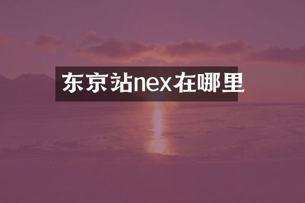 东京站nex在哪里