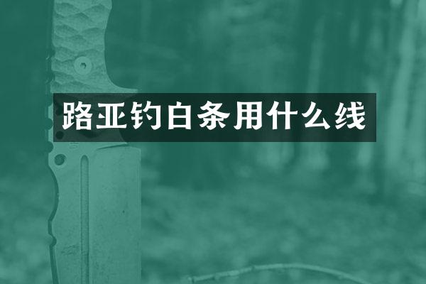 路亚钓白条用什么线