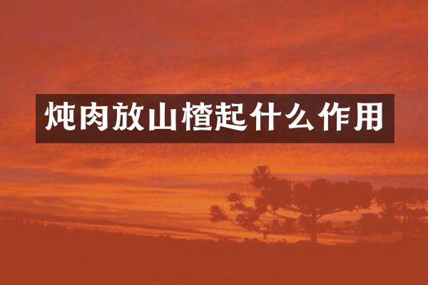 炖肉放山楂起什么作用