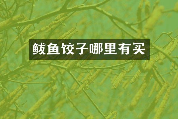鲅鱼饺子哪里有买