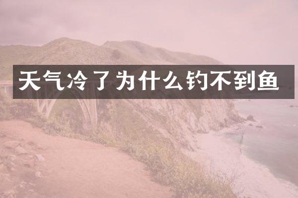 天气冷了为什么钓不到鱼