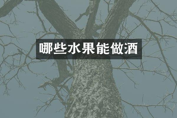 哪些水果能做酒