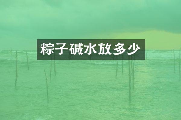 粽子碱水放多少