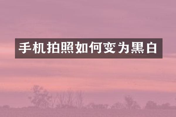 手机拍照如何变为黑白
