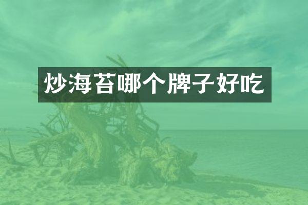 炒海苔哪个牌子好吃