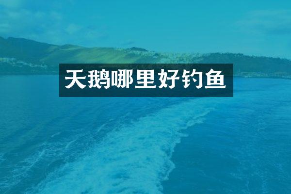 天鹅哪里好钓鱼