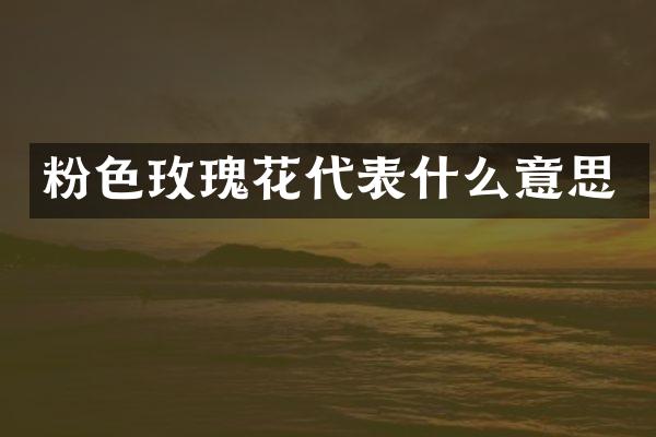 粉色玫瑰花代表什么意思