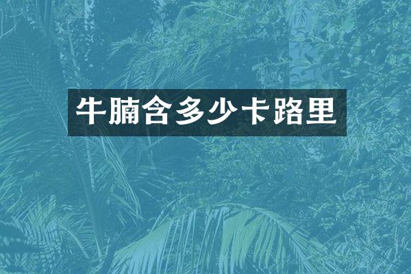 牛腩含多少卡路里