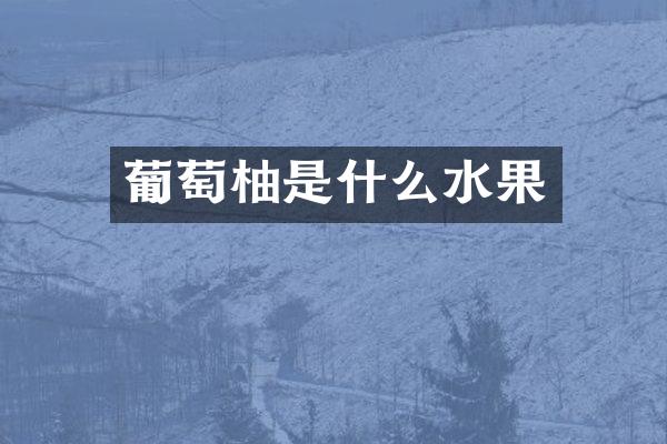 葡萄柚是什么水果