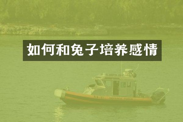 如何和兔子培养感情