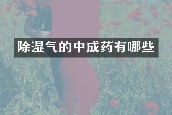 除湿气的中成药有哪些