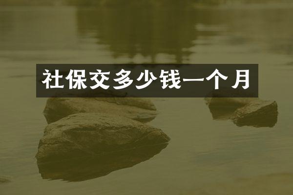 社保交多少钱一个月