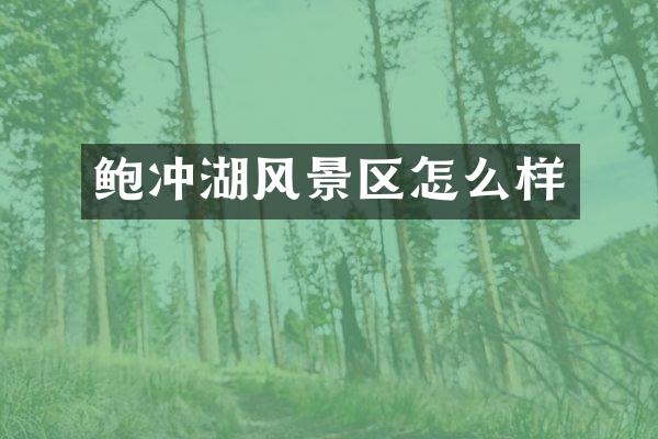 鲍冲湖风景区怎么样