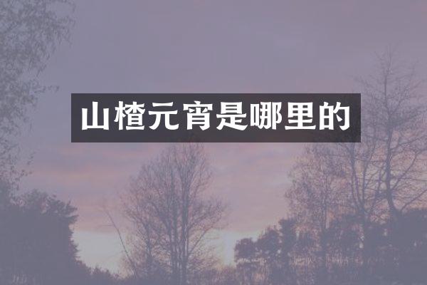 山楂元宵是哪里的